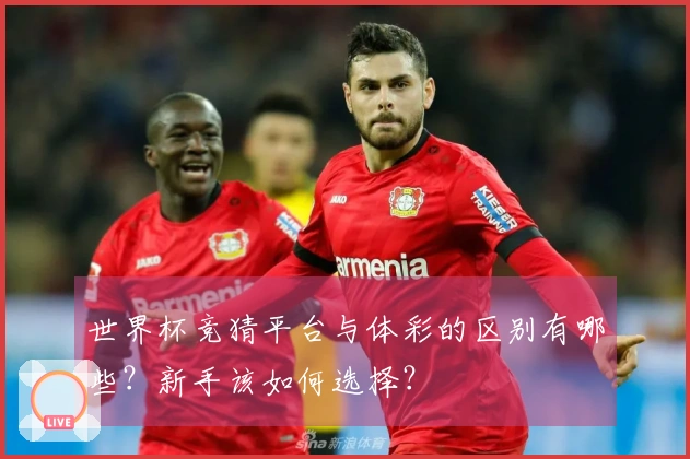 世界杯竞猜平台与体彩的区别有哪些？新手该如何选择？
