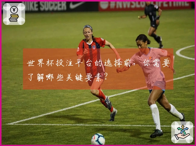世界杯投注平台的选择前，你需要了解哪些关键要素？