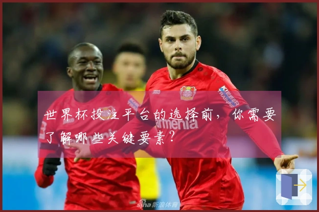 世界杯投注平台的选择前，你需要了解哪些关键要素？