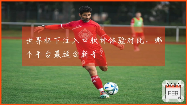 世界杯下注入口软件体验对比，哪个平台最适合新手？