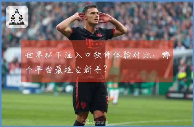 世界杯下注入口软件体验对比，哪个平台最适合新手？