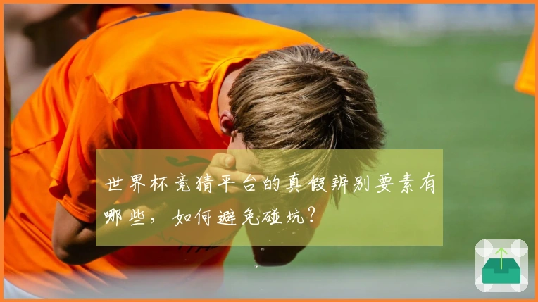 世界杯竞猜平台的真假辨别要素有哪些，如何避免碰坑？